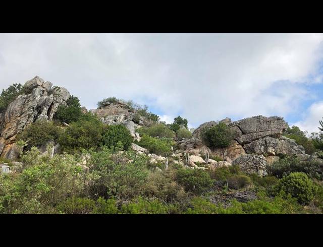 FARM FOR SALE IN PIKETBERG RURAL